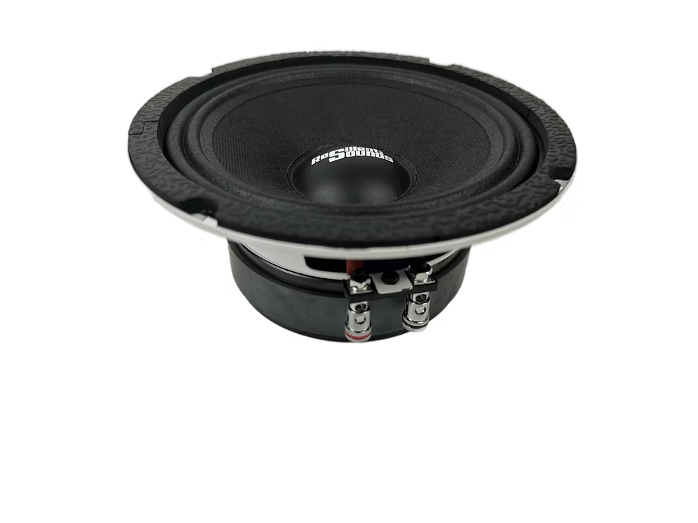 Resilient Sounds RS 65M 250w RMS 4ohm 6.5" speaker