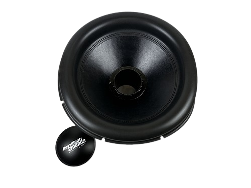 Resilient Sounds Team Series Recone Assembly