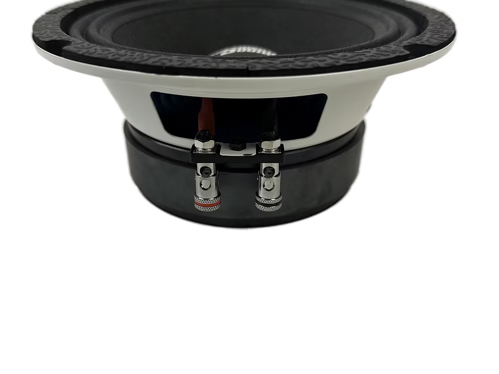 Resilient Sounds RS 65M 250w RMS 4ohm 6.5" speaker