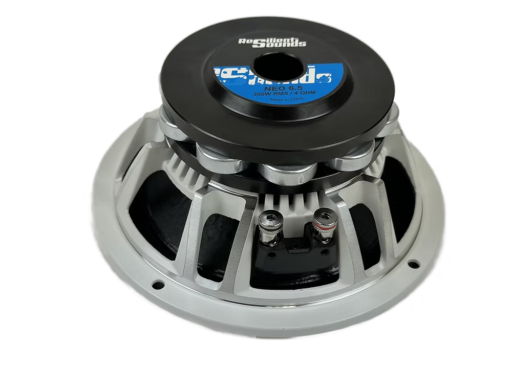 Resilient Sounds RS NEO 6.5 300w RMS 4ohm 6.5" speaker