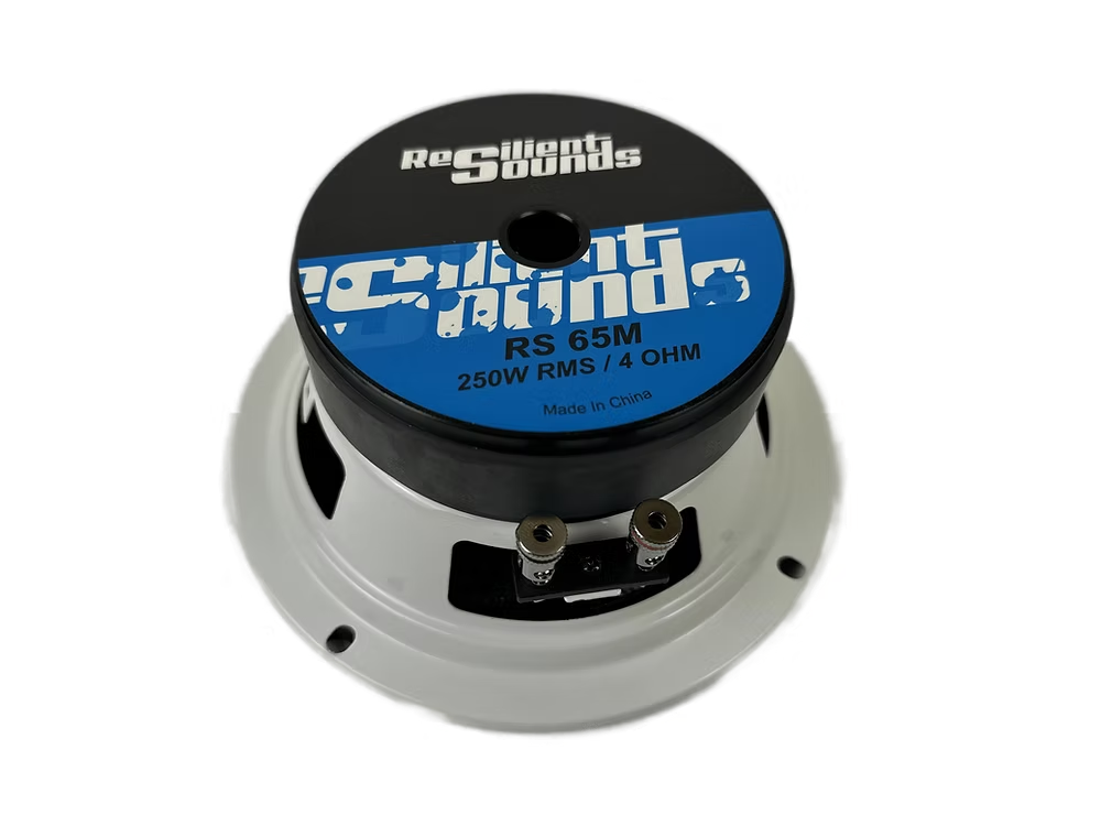 Resilient Sounds RS 65M 250w RMS 4ohm 6.5" speaker