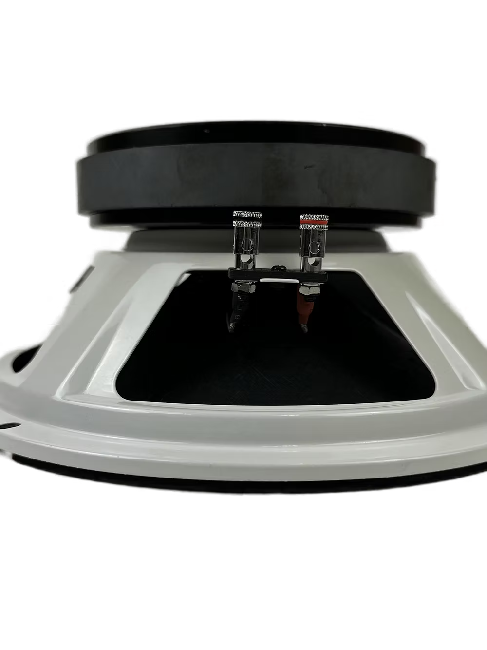 Resilient Sounds RS 10M 300w RMS 4ohm 10"speaker