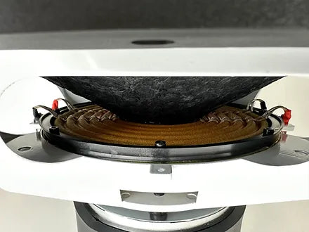 Resilient SoundsGold 15 1000 RMS Woofer