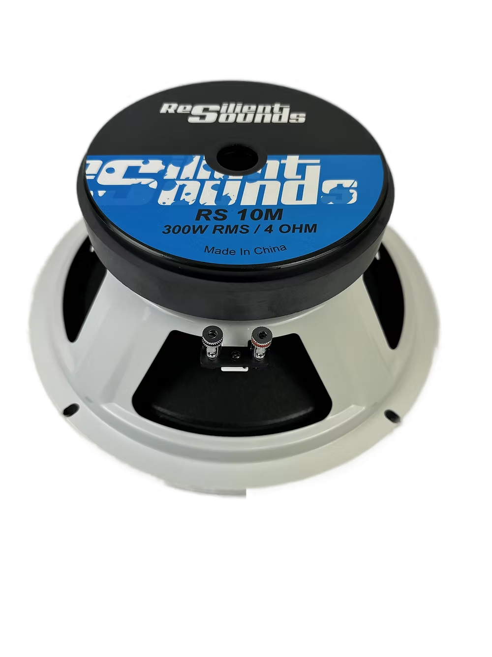 Resilient Sounds RS 10M 300w RMS 4ohm 10"speaker