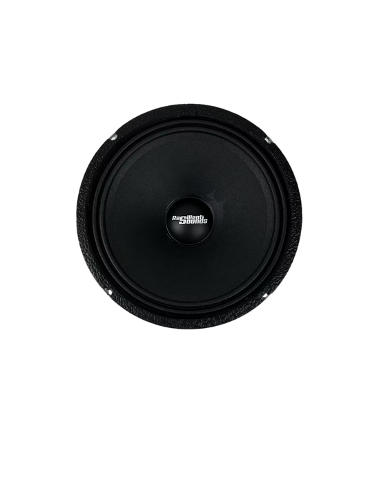Resilient Sounds RS 10M 300w RMS 4ohm 10"speaker